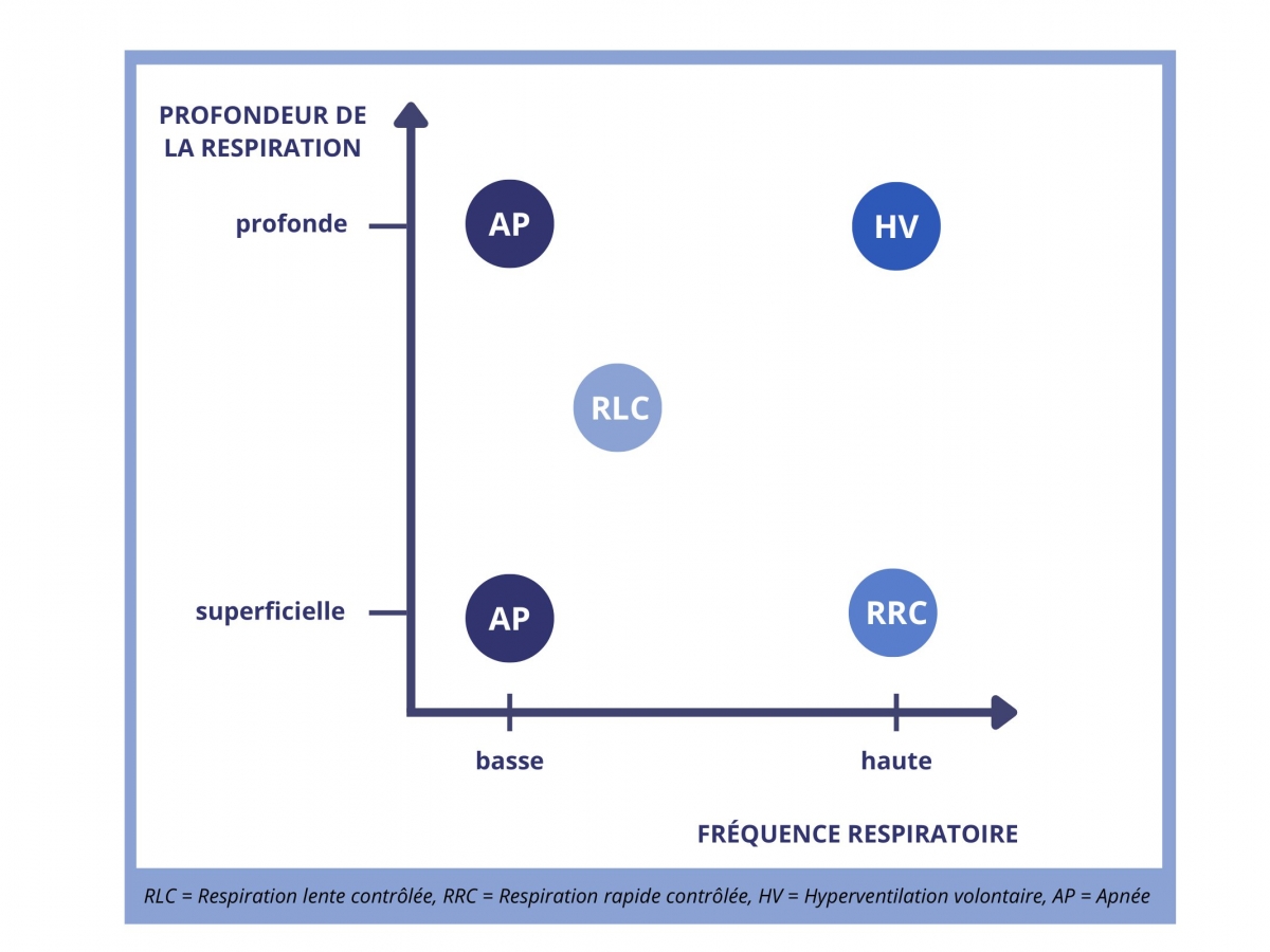 Techniques de respiration en fonction de la fréquence et de la profondeur de la respiration